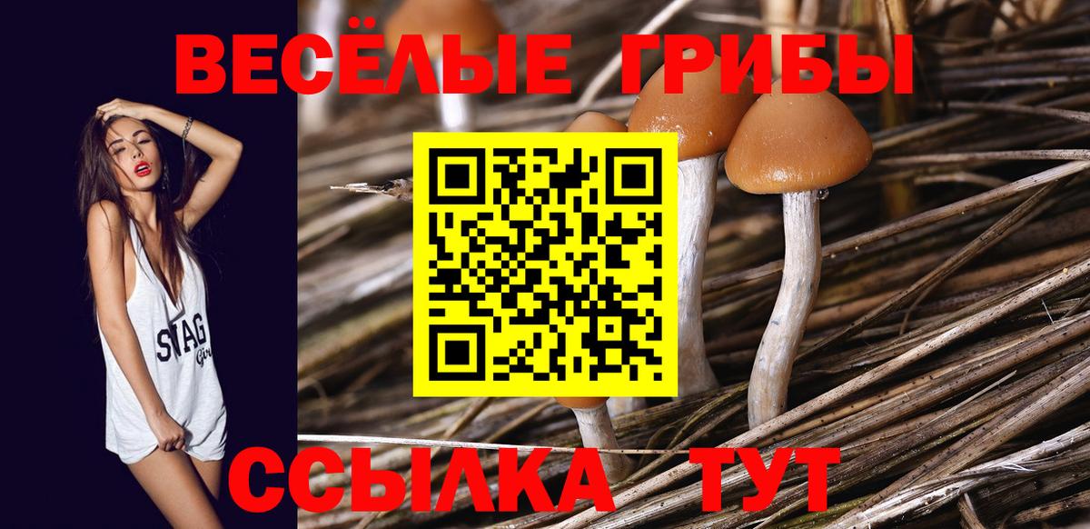 Галлюциногенные грибы прущие грибы  Вход с VPN  Еманжелинск 